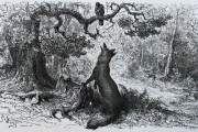 le-corbeau-et-le-renard-french-poem-reading-analysis
